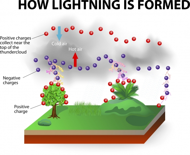 Static Electricity Diagram